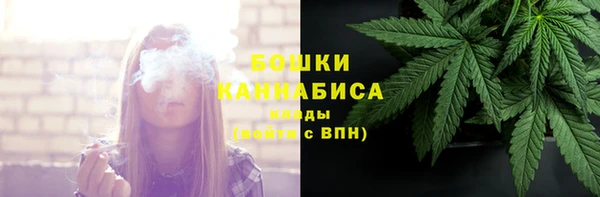 твердый Горняк