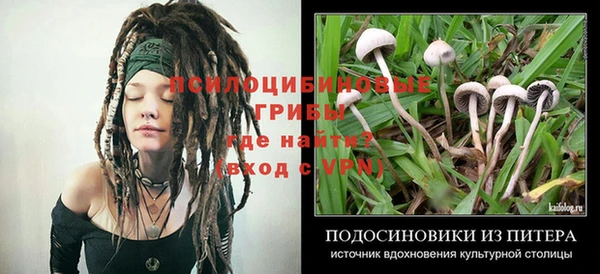 эйфоретик Вязники