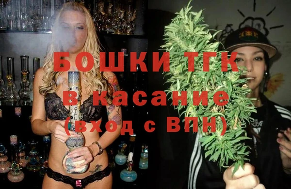 твердый Горняк