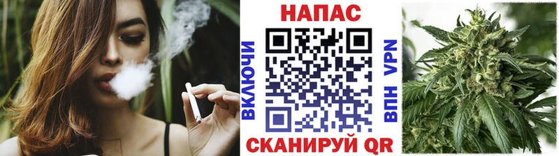 Конопля MAZAR  продажа наркотиков  Суджа 